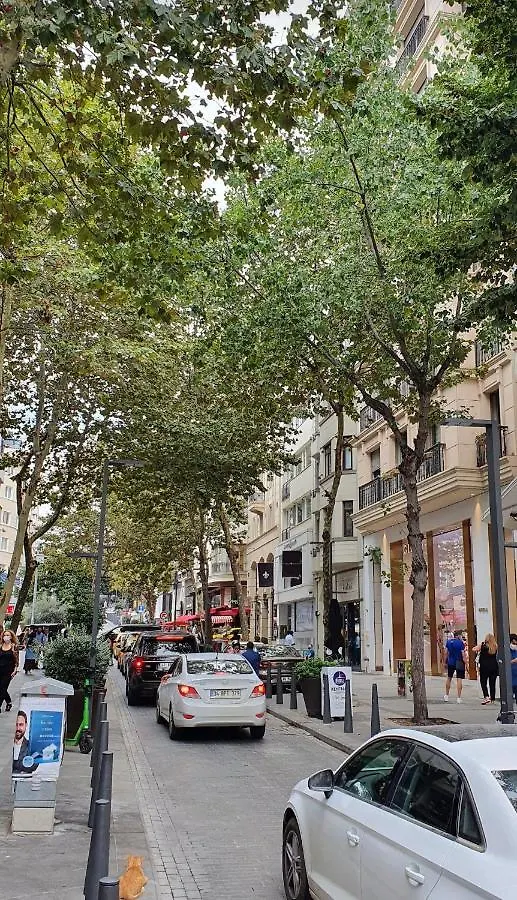 Апартаменты Center Of Istanbul, Luxurious, Nodern, Full Flat